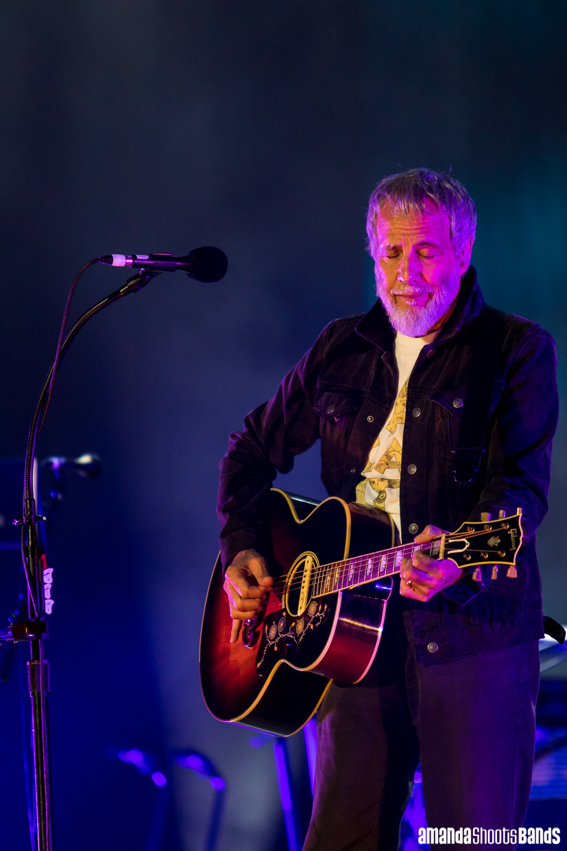 Cat Stevens: The 50-Year Odyssey of a Musical Icon
