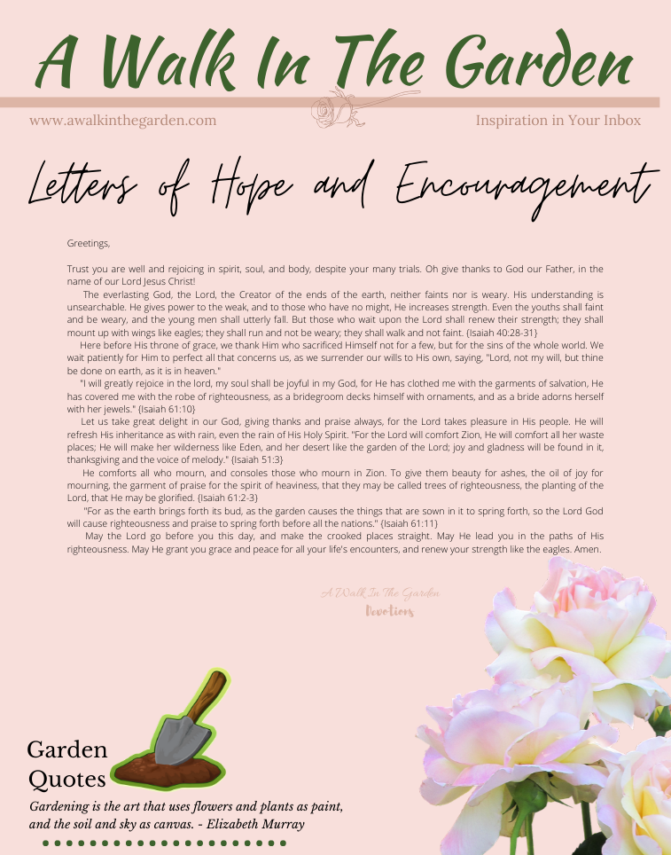 1 Peter: A Letter of Hope and Encouragement